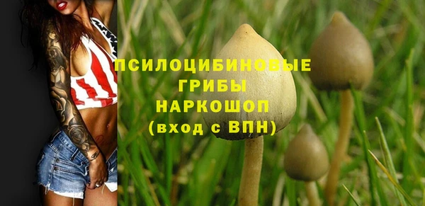 а пвп мука Бородино