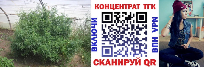 ОМГ ОМГ сайт  Верхний Тагил  ТГК вейп с тгк 